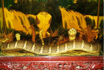 Nữ[-]đại[-]gia[-]và[-]niềm[-]đam[-]mê[-]“quái[-]thú”[-]hổ[-]chúa[-]dài[-]7m